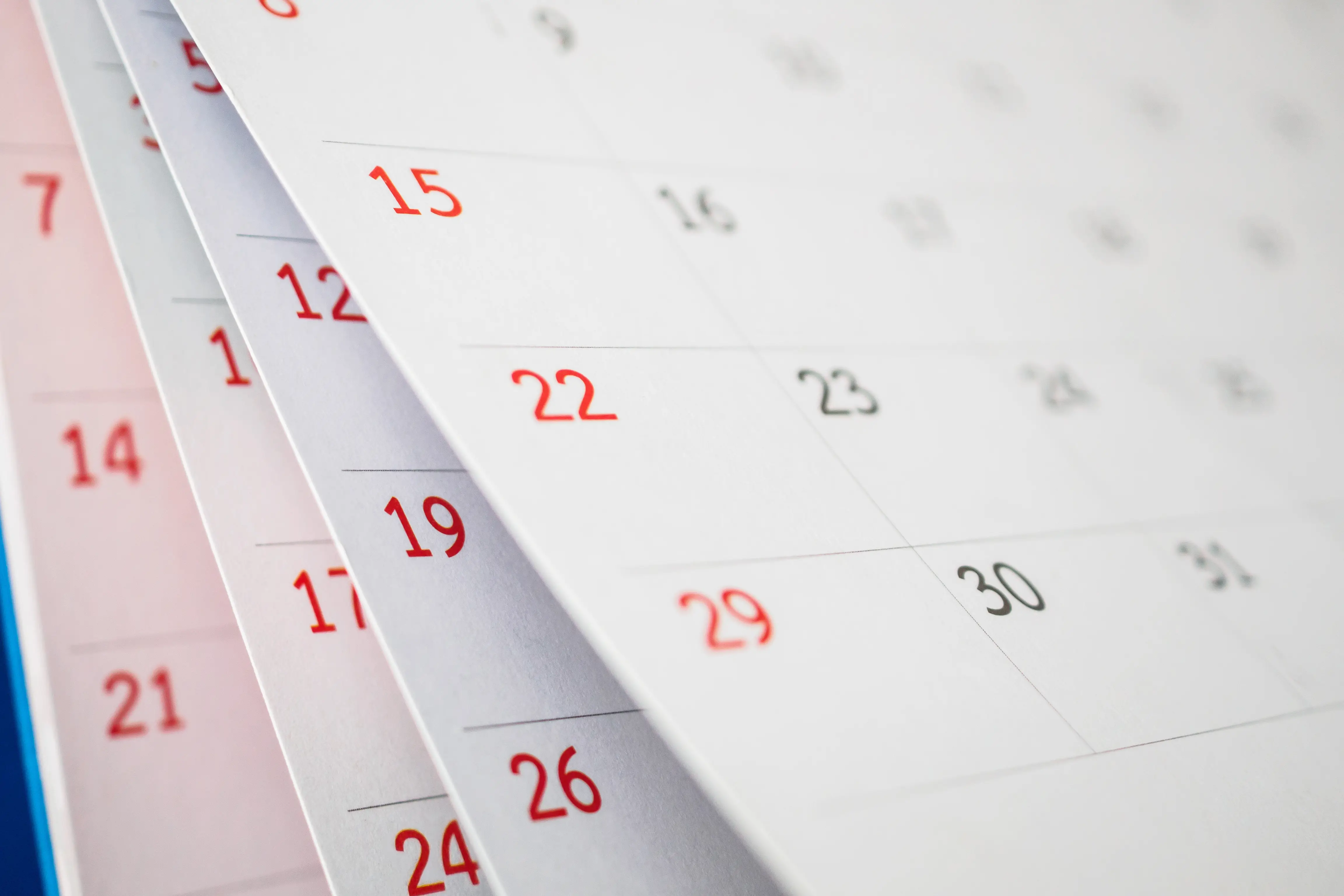 【天赦日や一粒万倍日もわかる】2026年 最強開運日を一挙紹介！